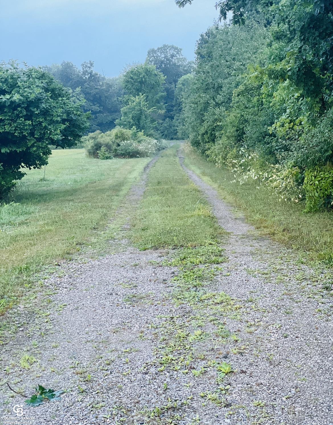 Vincent Road North Street, MI 48049 - Photo 4 of 12