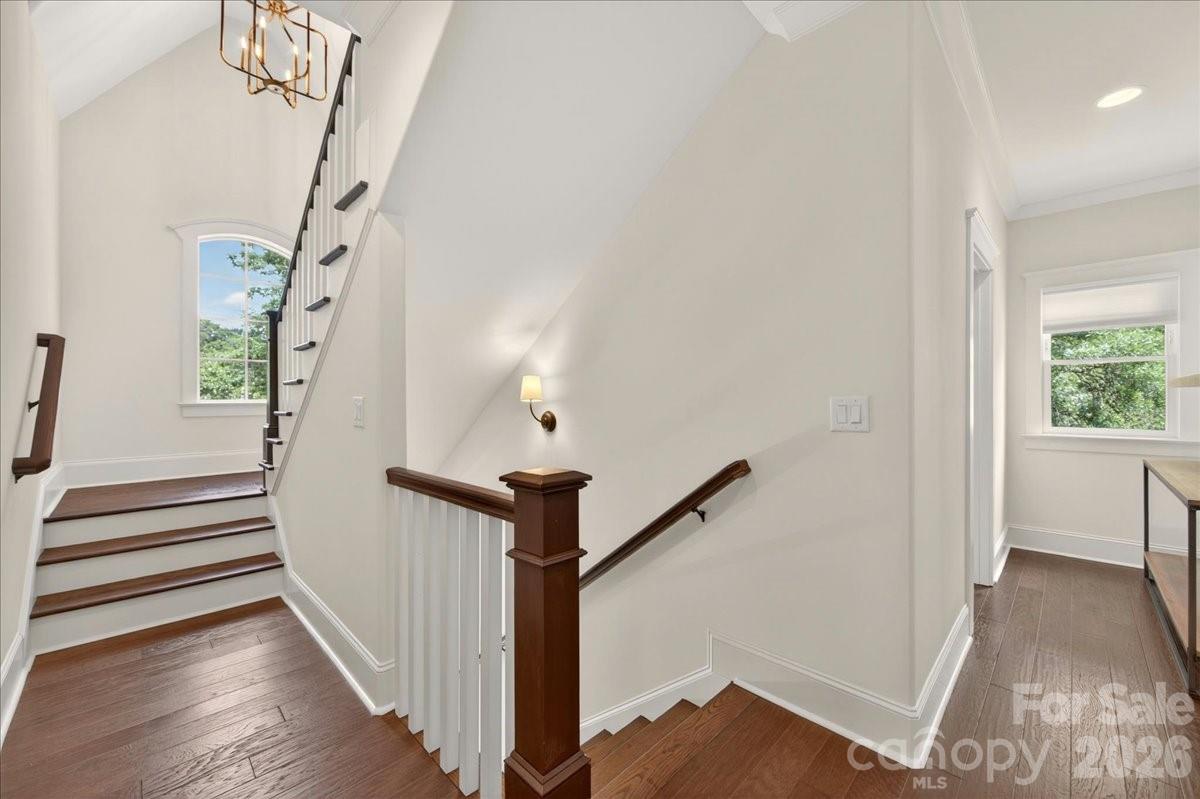 748 Ellsworth Road Charlotte, NC 28211 - Photo 26 of 46 Gallery Image 26