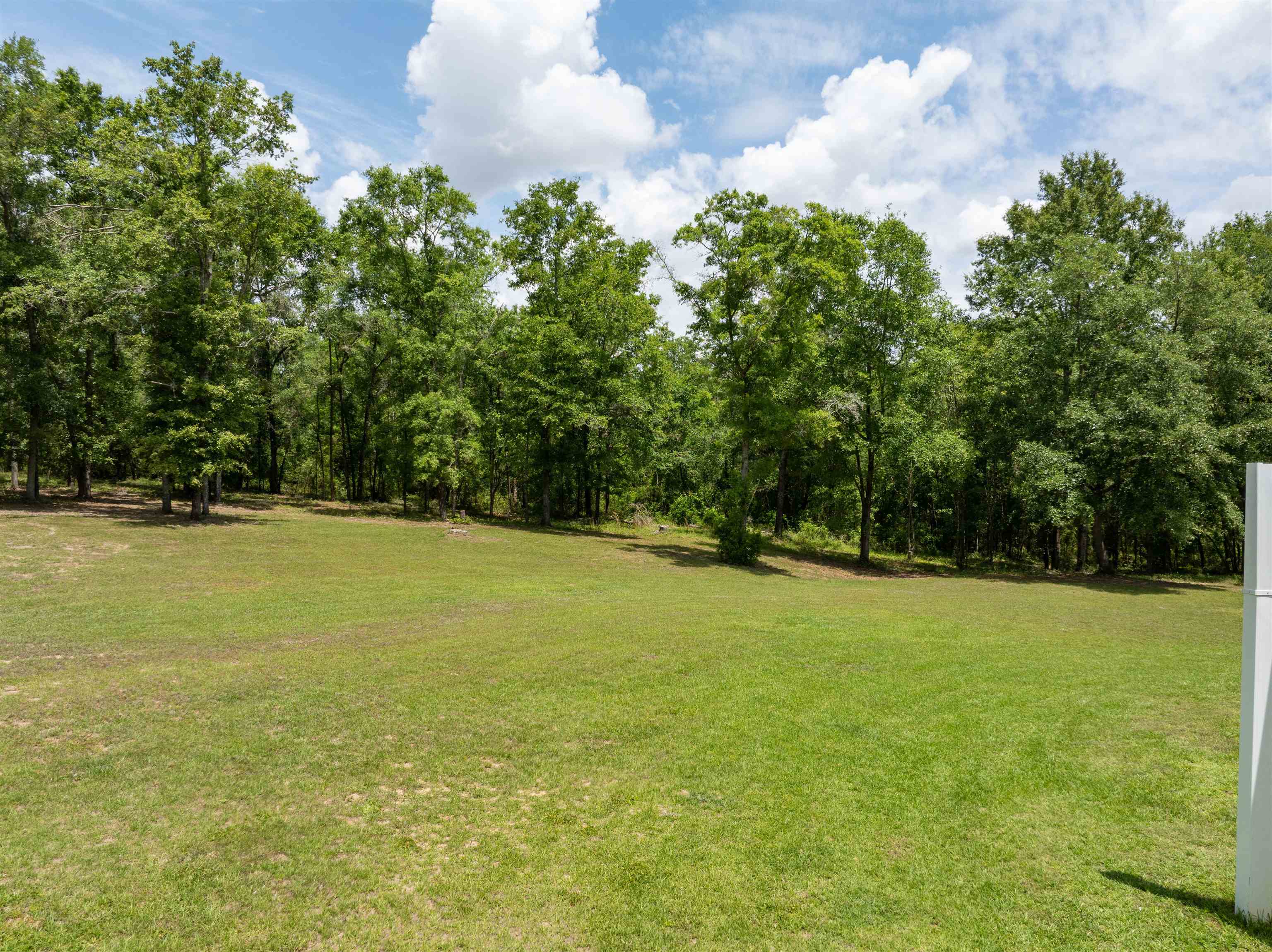 700 Northeast Reagan Road Madison, FL 32340 - Photo 4 of 42 Gallery Image 4