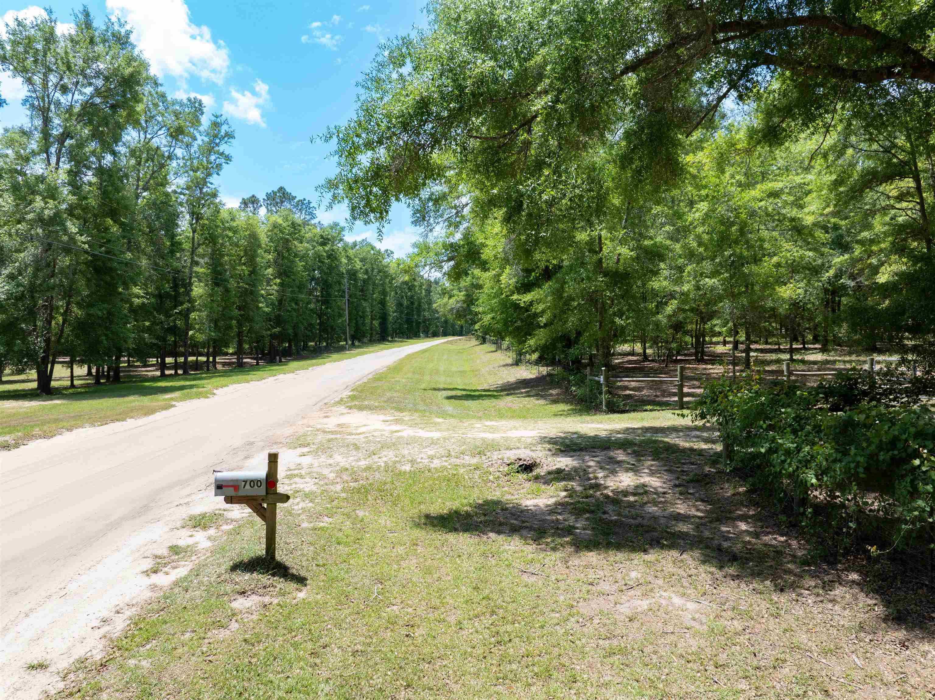 700 Northeast Reagan Road Madison, FL 32340 - Photo 9 of 42 Gallery Image 9