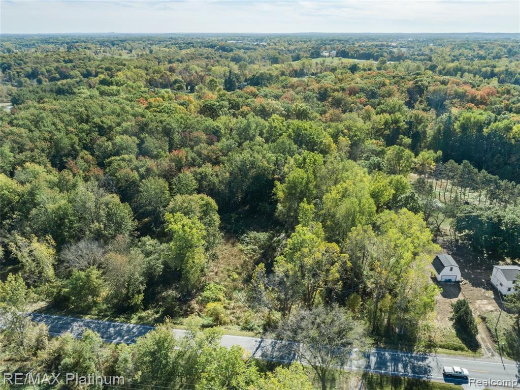 12111 Linden Road Linden, MI 48451 - Photo 4 of 12
