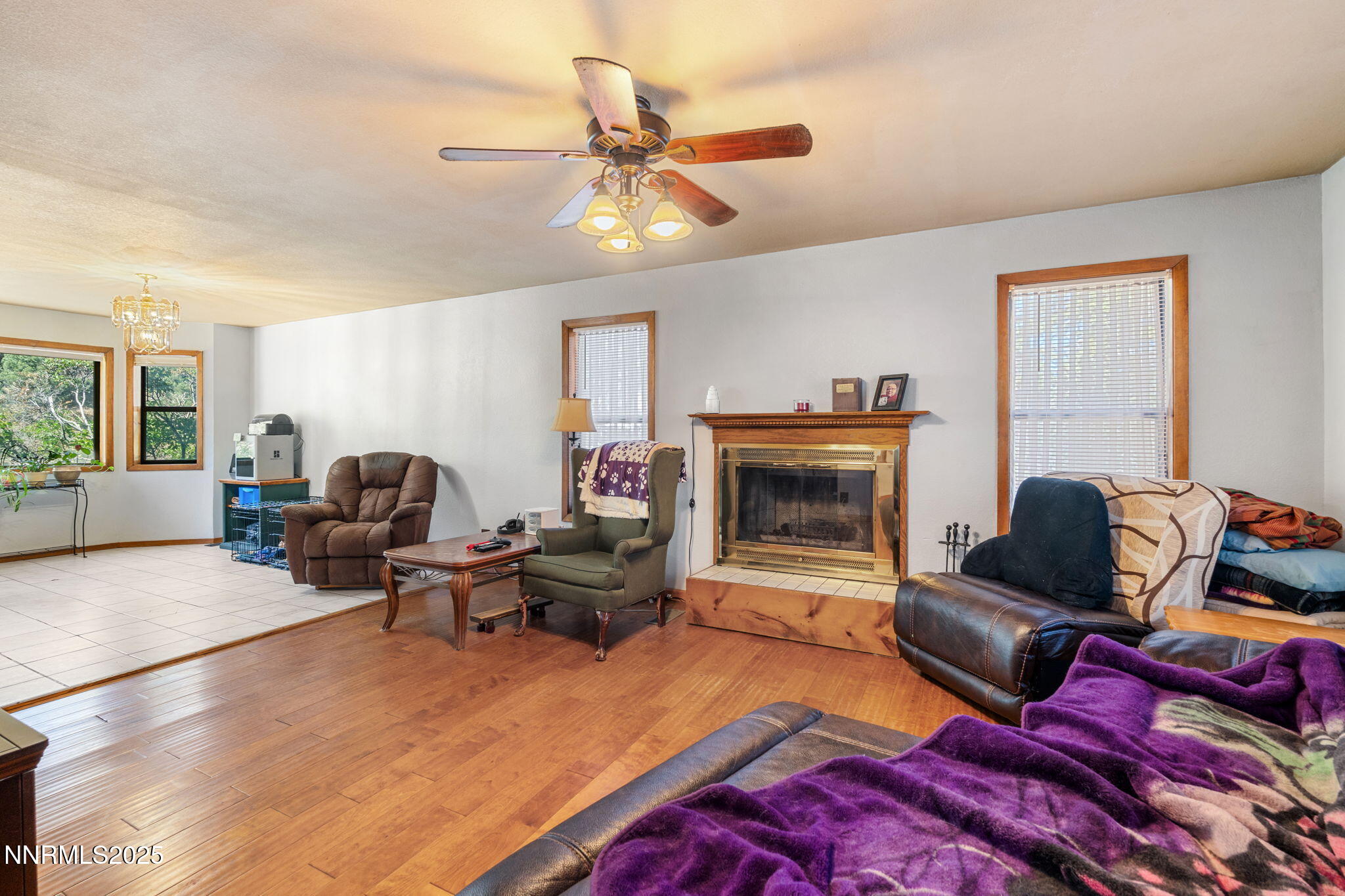 21615 Dortort Drive Reno, NV 89521 - Photo 12 of 52 a living room with furniture and a fireplace