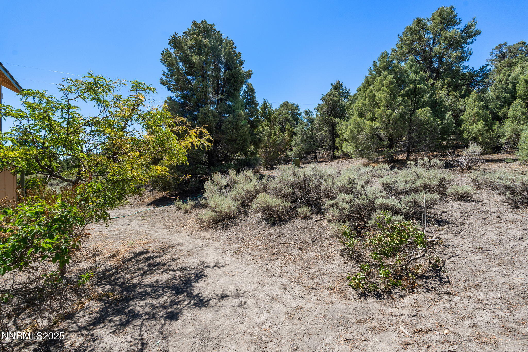 21615 Dortort Drive Reno, NV 89521 - Photo 41 of 52 a view of a yard with a tree