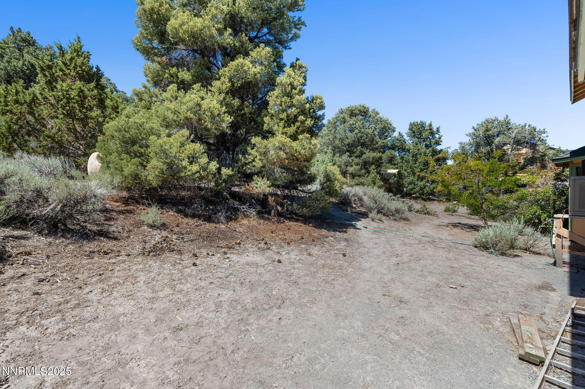 21615 Dortort Drive Reno, NV 89521 - Photo 42 of 52 a view of a dry yard with trees