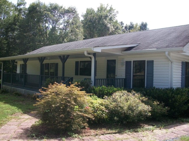 Main View