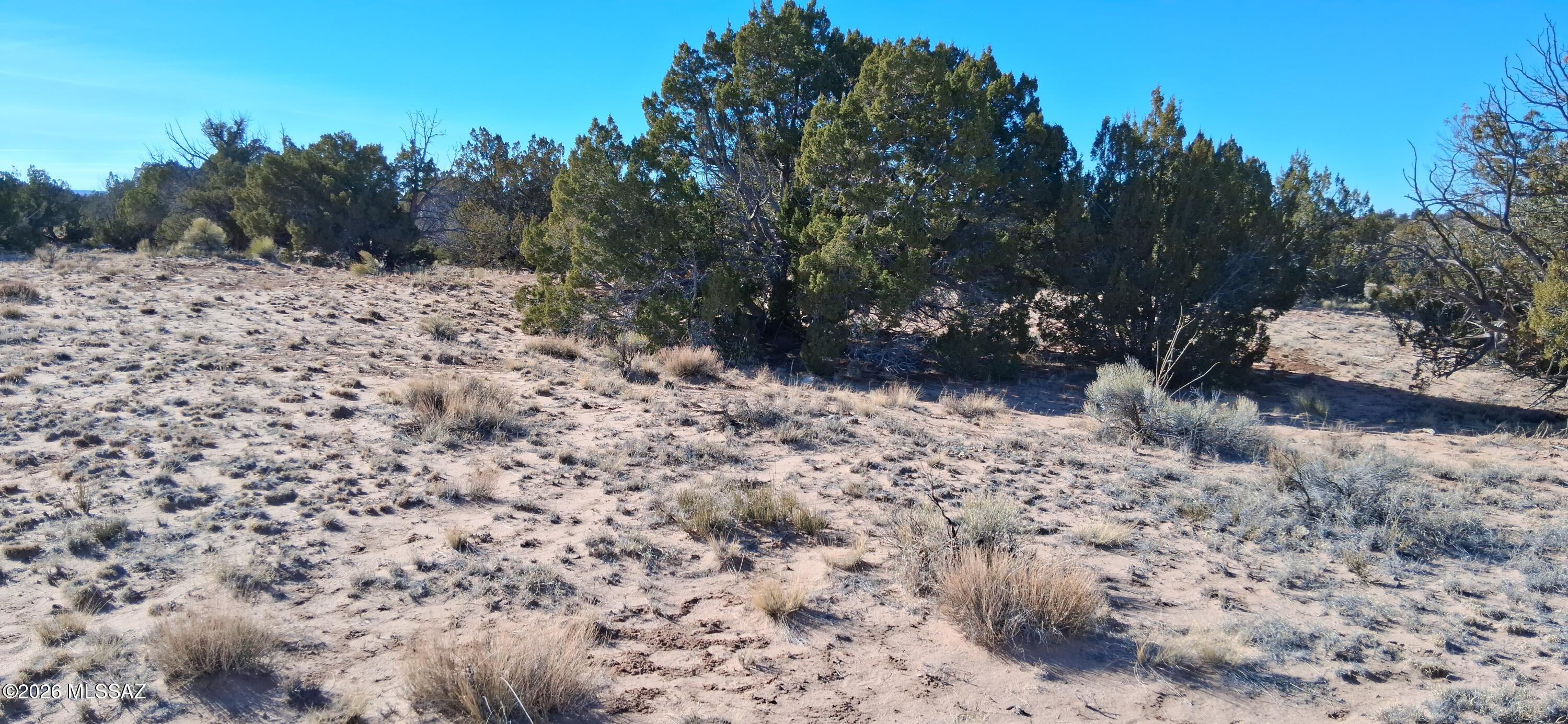 24 County Road, Unit 857 St. Johns, AZ 85936 - Photo 16 of 22