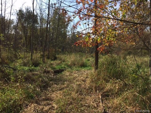 Parcel B Parcel B Handy Road Howell, MI 48855 - Photo 11 of 15