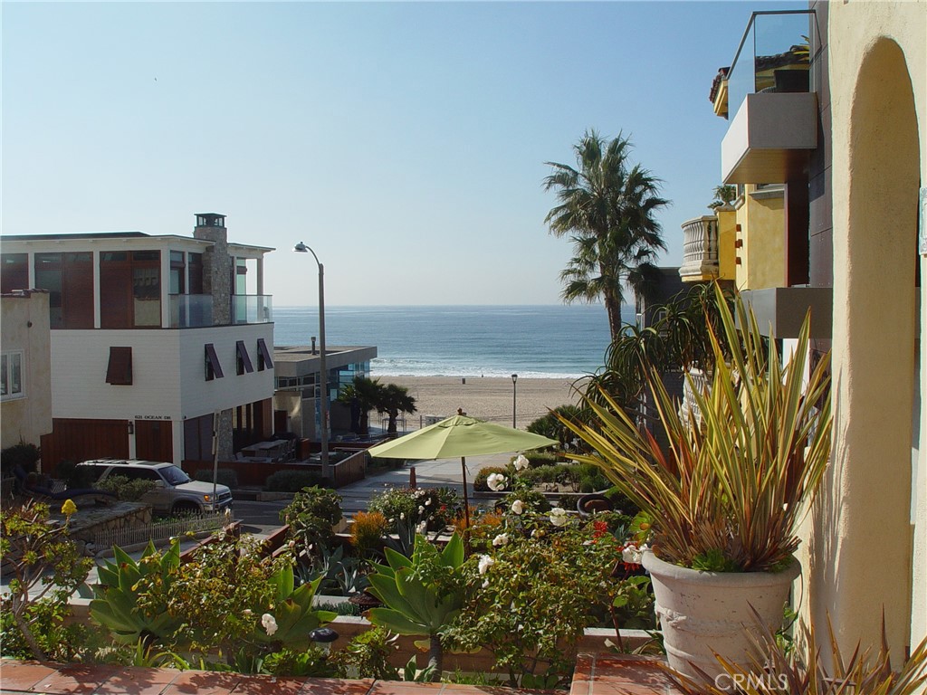 a view of a yard with lawn chairs plants and palm tree