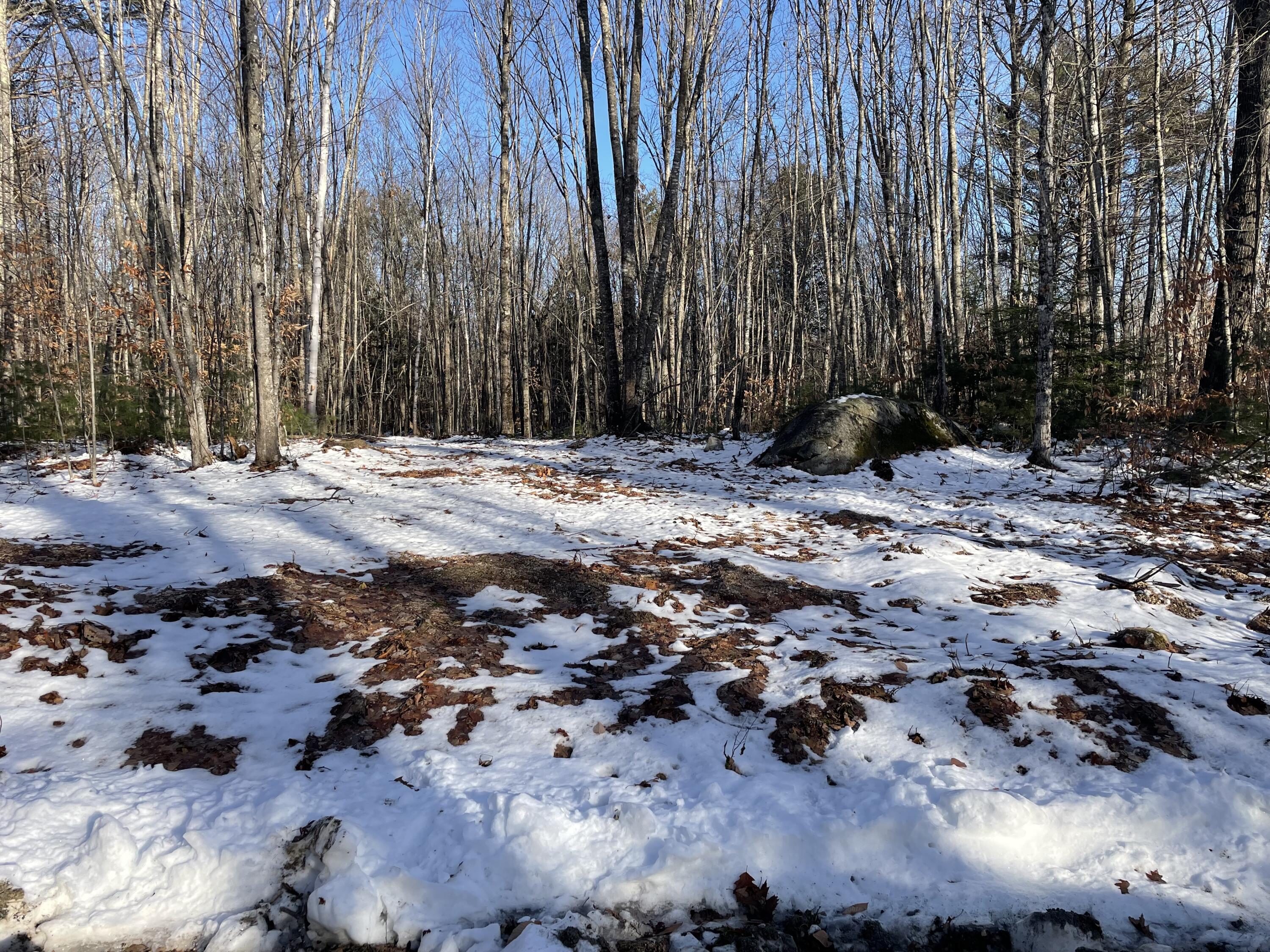 5 Beaver Brook Estates Rome, ME 04963 - Photo 6 of 10 Beaver Brook #7 Lot 5