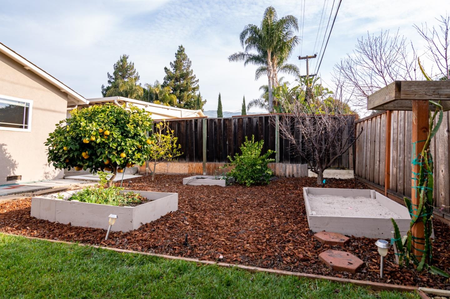 464 Greathouse Drive Milpitas, CA 95035 - Photo 25 of 27 a view of a backyard with garden and plants