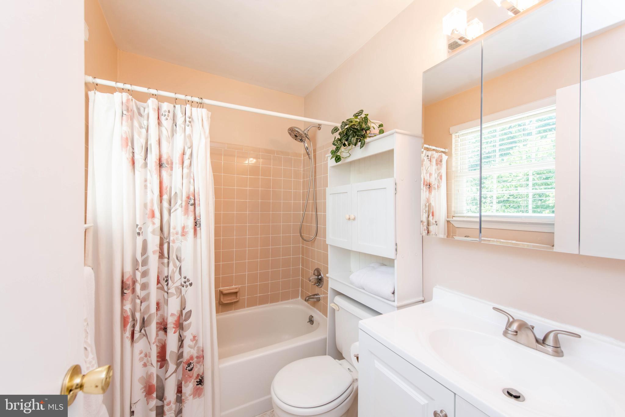 8674 Bali Road Ellicott City, MD 21043 - Photo 23 of 64 Owner's Bath