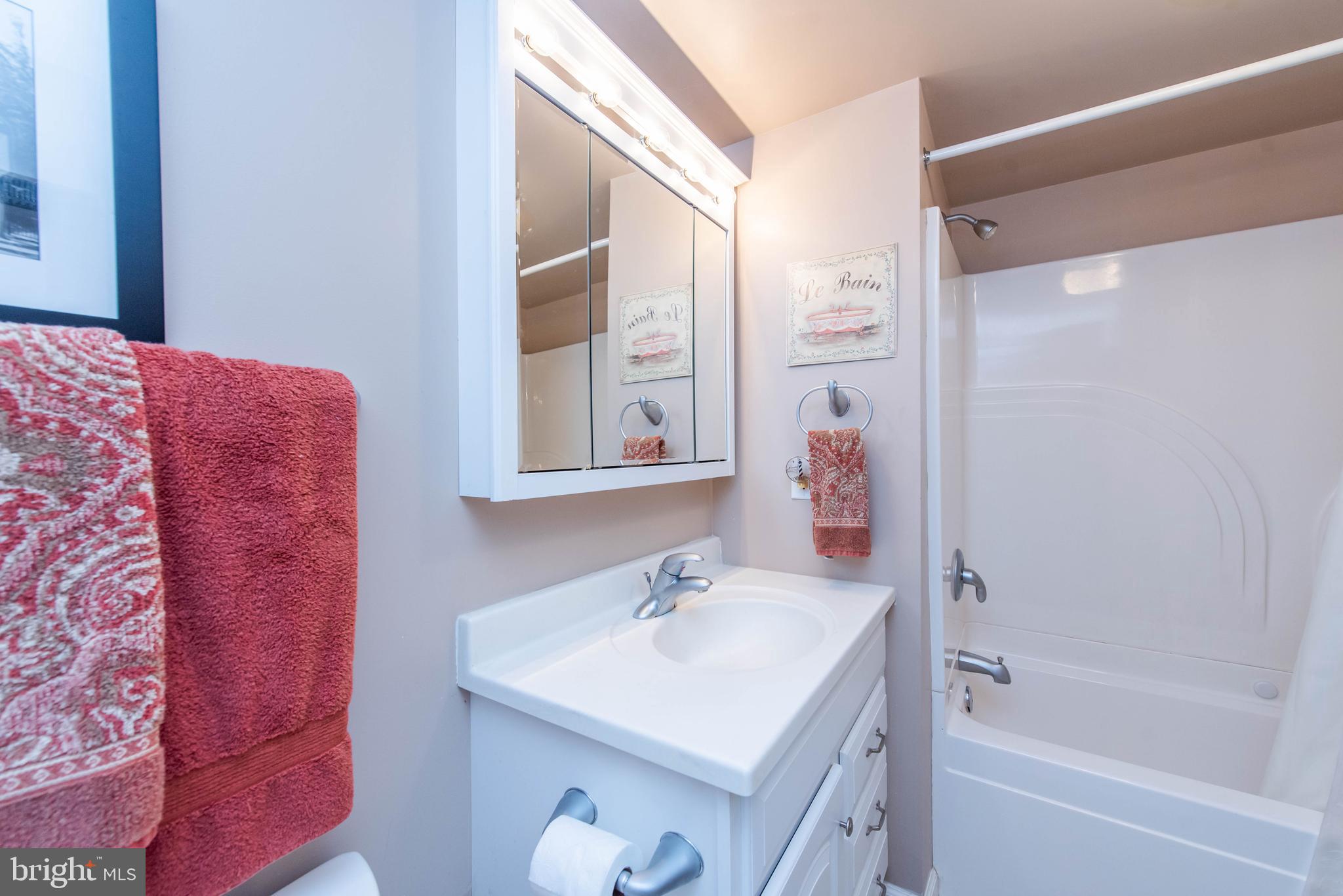 8674 Bali Road Ellicott City, MD 21043 - Photo 33 of 64 Bathroom