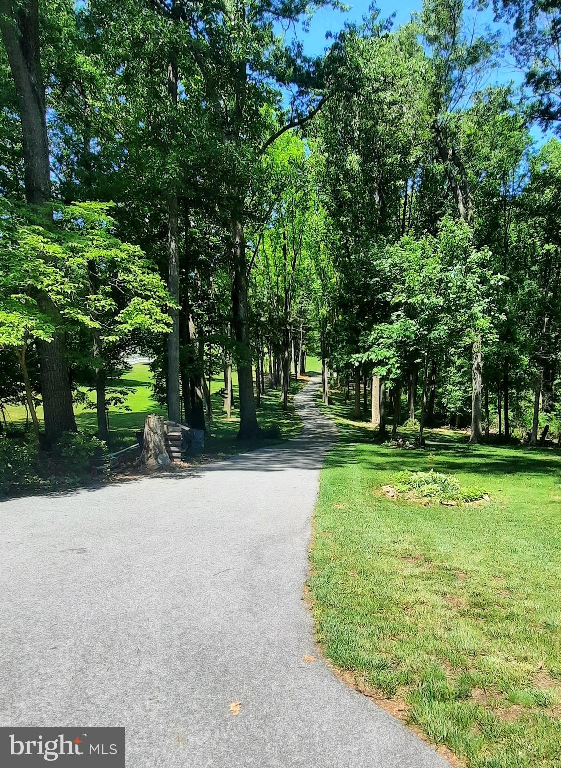 5313 Wentz Road Manchester, MD 21102 - Photo 51 of 51 a view of a park with tree s