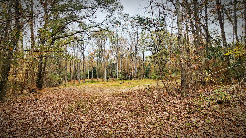 104 Ranch Road Cusseta, GA 31805 - Photo 8 of 9 Gallery Image 8