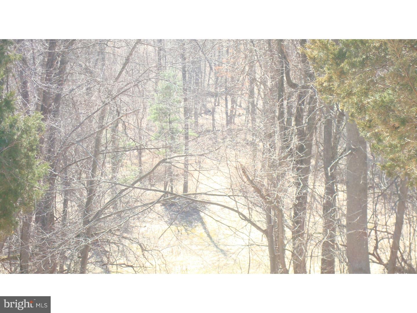 430 Hunters Road Mohnton, PA 19540 - Photo 3 of 12