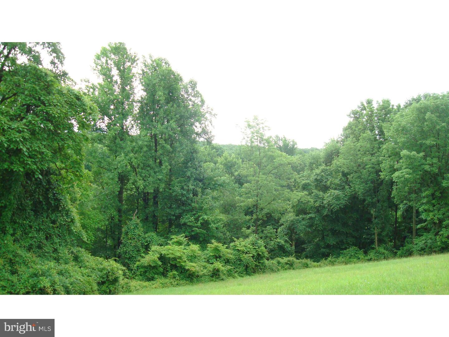 430 Hunters Road Mohnton, PA 19540 - Photo 8 of 12