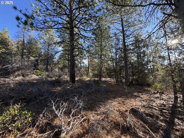 Hummingbird Drive, Unit 13 Bonanza, OR 97623 - Photo 15 of 17