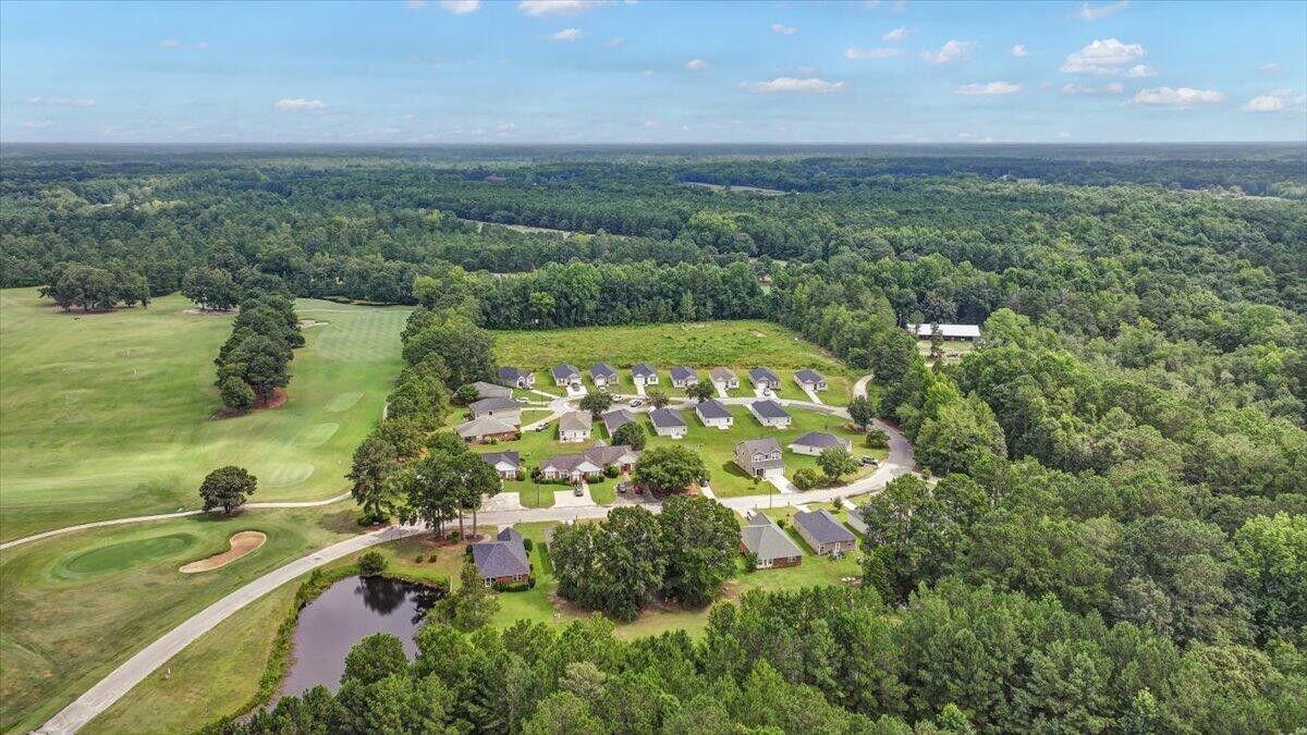 1330 Warrens Way Manning, SC 29102 - Photo 9 of 11 Community Aerial View