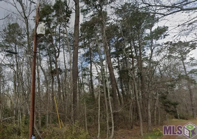 $50,000 | 8 Tabony Court, Walker, LA 70785