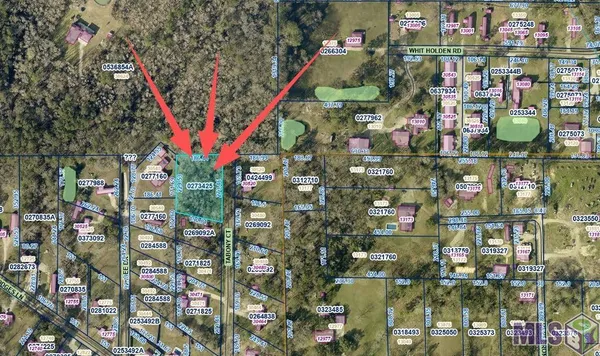 $50,000 | 8 Tabony Court, Walker, LA 70785