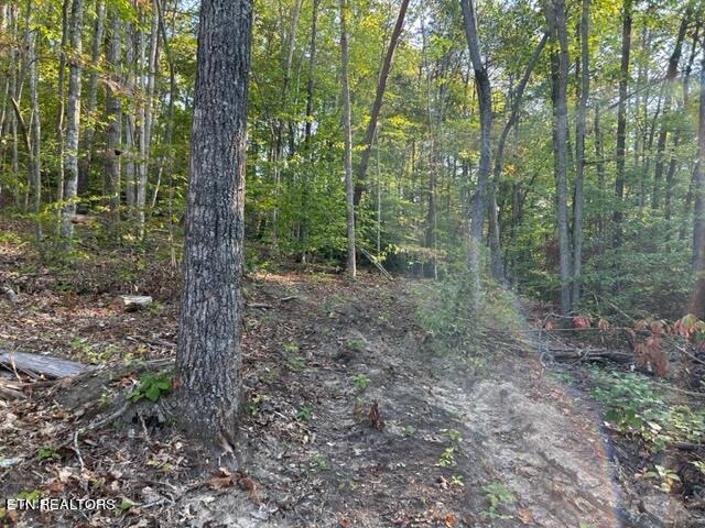 Malone Gap Road Maynardville, TN 37807 - Photo 3 of 6 IMG_3490