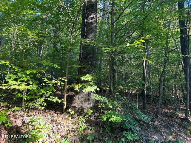 Malone Gap Road Maynardville, TN 37807 - Photo 4 of 6 IMG_3492