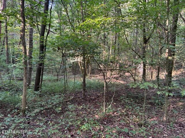 Malone Gap Road Maynardville, TN 37807 - Photo 5 of 6 IMG_3495