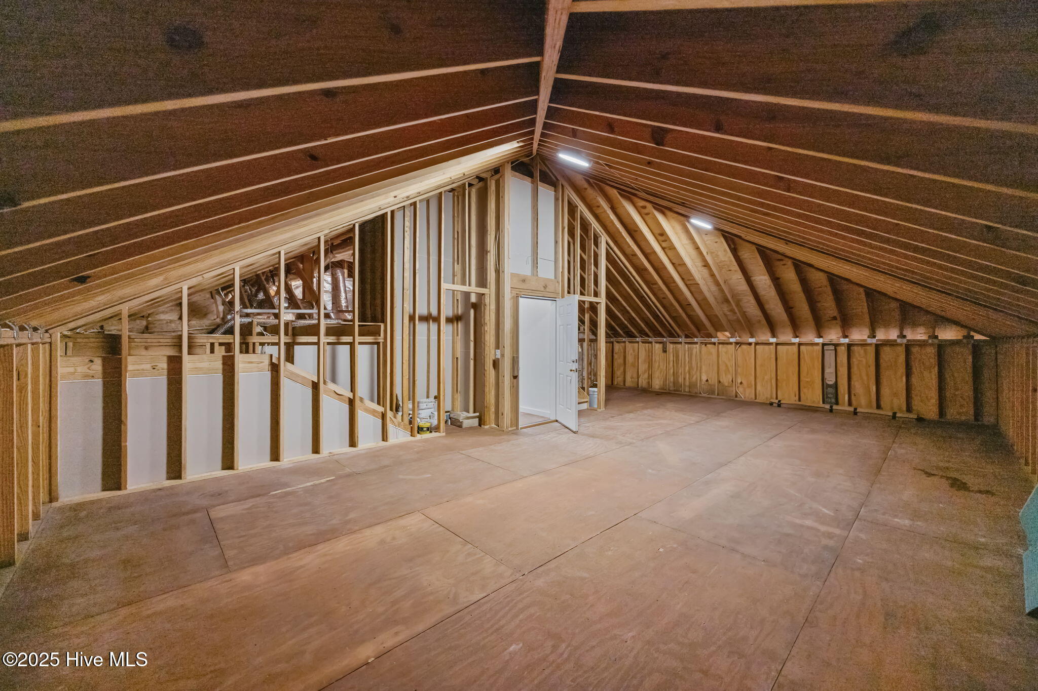 402 Whittaker Point Road Oriental, NC 28571 - Photo 43 of 61 32-web-or-mls-0C0A2323