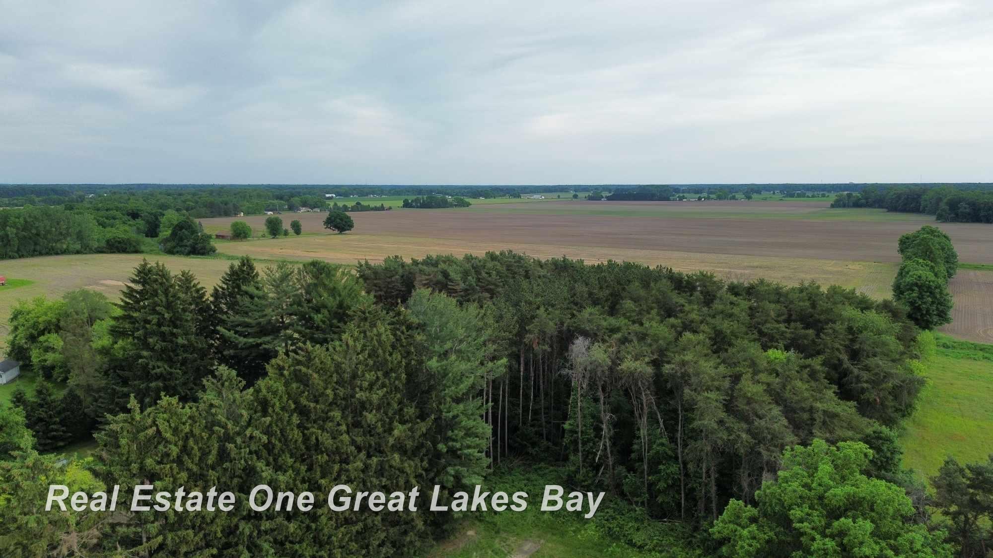11299 Dice Road Freeland, MI 48623 - Photo 10 of 16