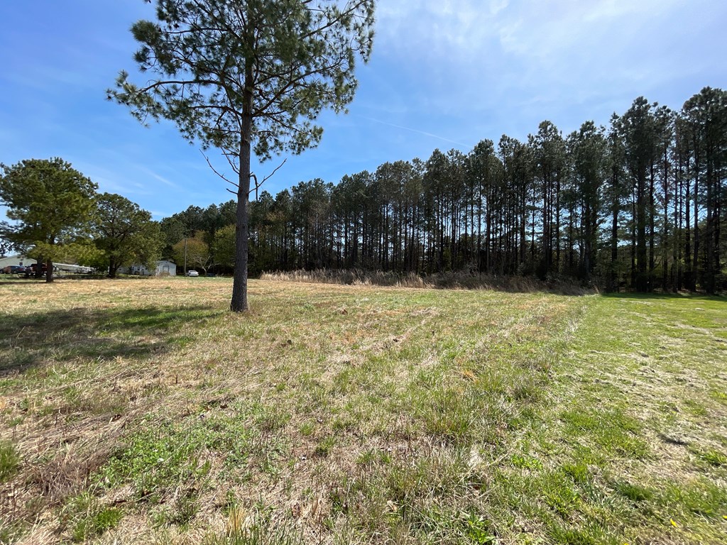 1.36 Occohannock Neck Road, Unit 1011 Exmore, VA 23350 - Photo 10 of 14