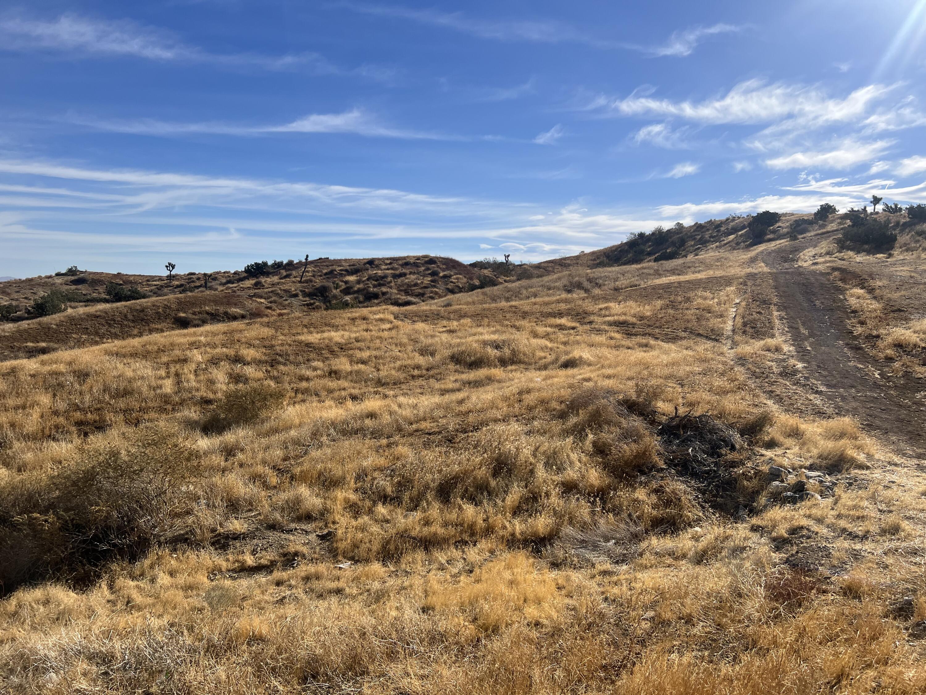 Barrel Springs Road Road Palmdale, CA 93552 - Photo 1 of 3 IMG_6381