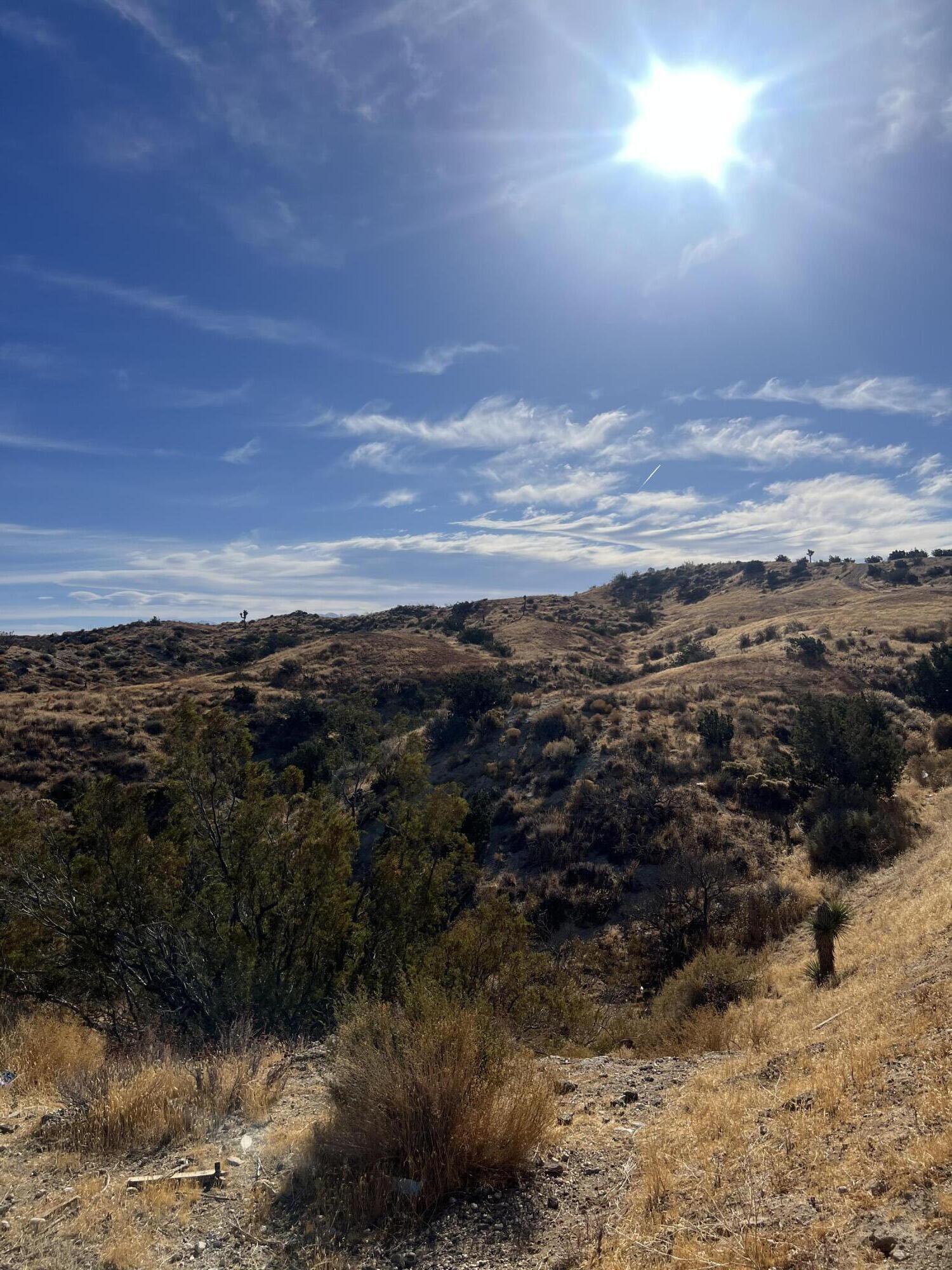 Barrel Springs Road Road Palmdale, CA 93552 - Photo 2 of 3 IMG_6383