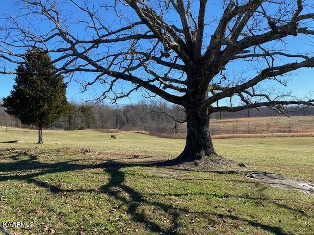 1735 Vandever Road Crossville, TN 38572 - Photo 6 of 35 IMG_7530