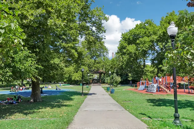 a view of a park with large trees