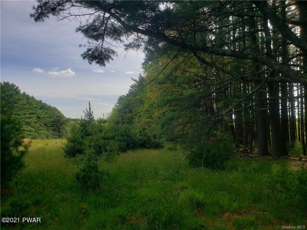 Mud Pond Road Highland Lake, NY 12743 - Photo 6 of 13