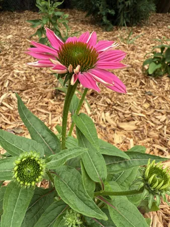 $324,900 | 3920 White Bear Avenue, White Bear Lake, MN 55110