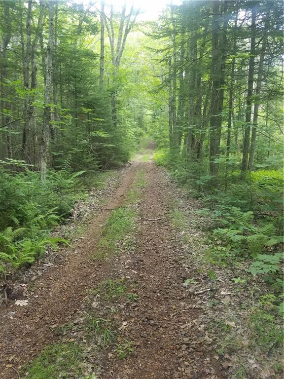 0 Dunbar Road Thomaston, ME 04861 - Photo 1 of 6 Roadway on parcel