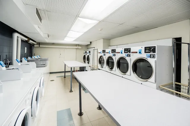 a living room with furniture potted plant and a window