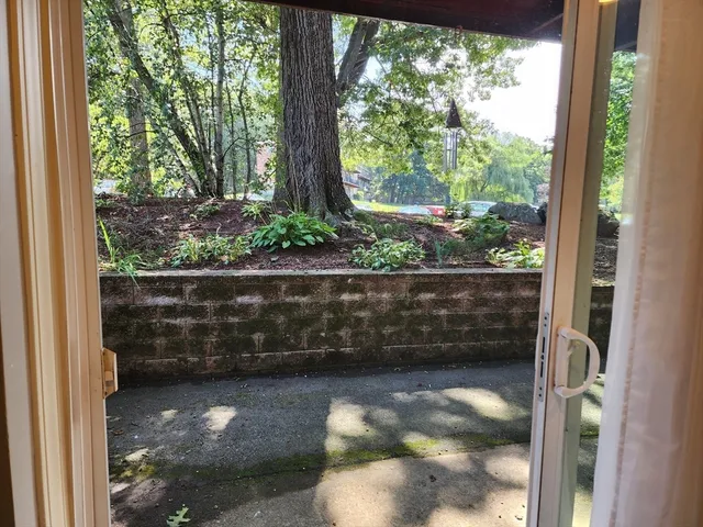 a view of a pathway in a yard