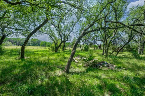 a backyard of a house with lots of plants and trees