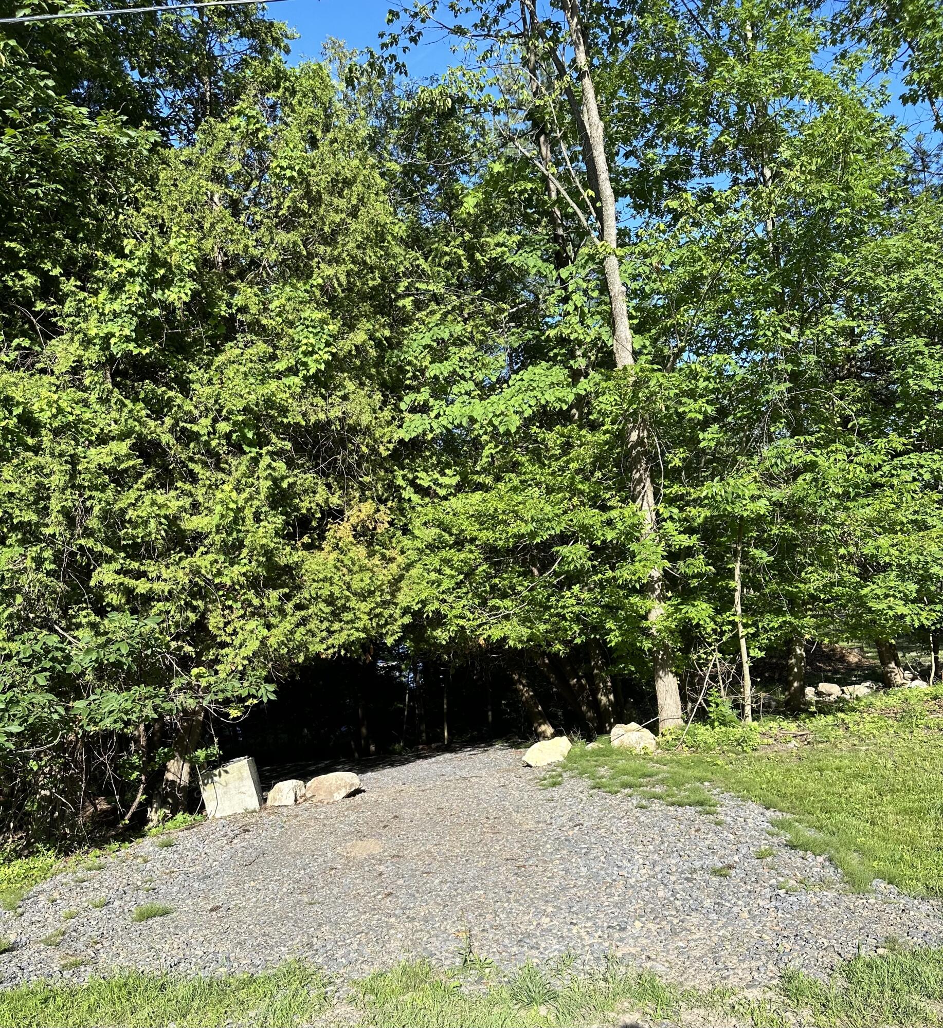 0 Trembleau Road Keeseville, NY 12944 - Photo 3 of 7 IMG_2659