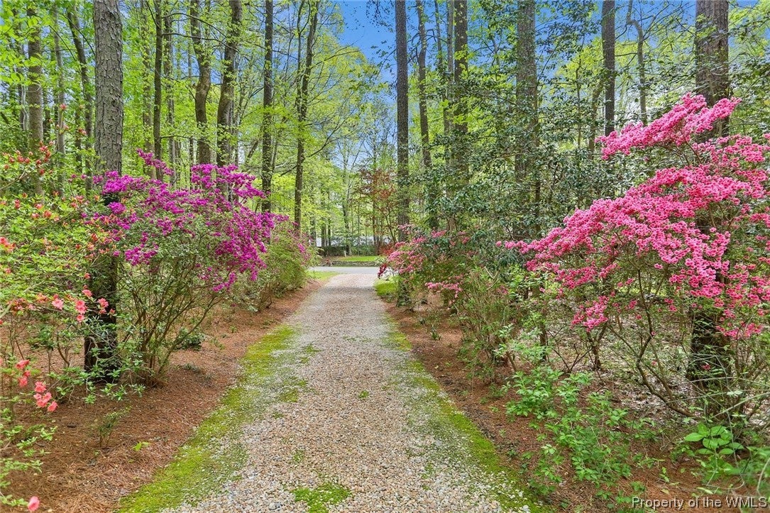 120 Tom Taylor Road Toano, VA 23168 - Photo 5 of 35 Gallery Image 5