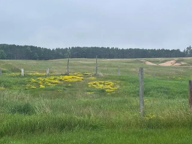 $169,500 | 3881 Co Hwy H, Laona, WI 54541