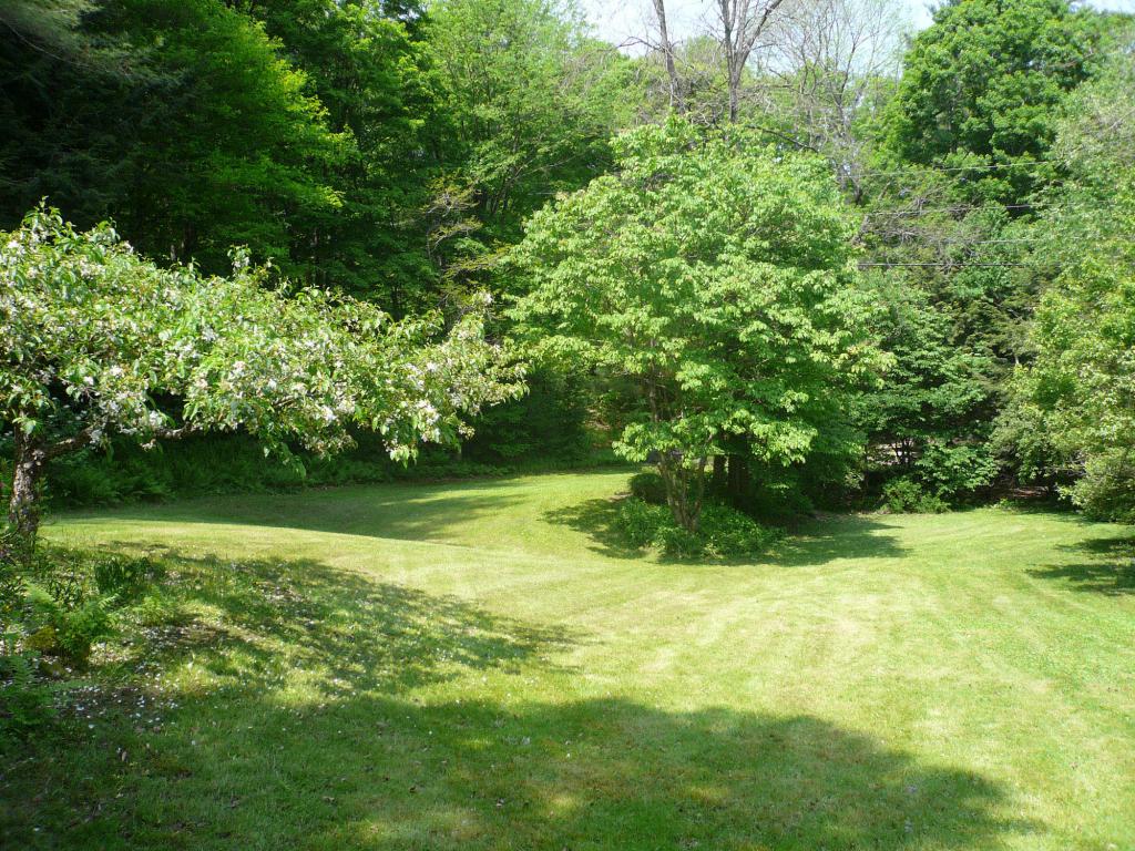 83 Radway Hill Road Newfane, VT 05345 - Photo 6 of 21