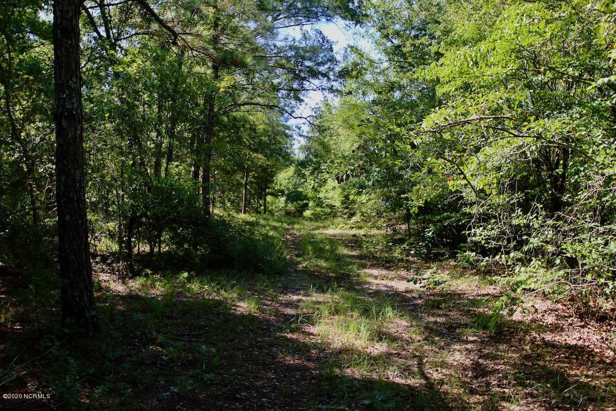 8915 River Road Vanceboro, NC 28586 - Photo 29 of 51 IMG_7686