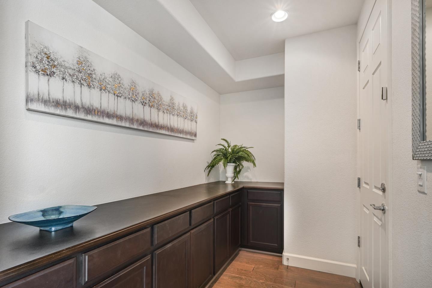 1237 Viognier Way Gilroy, CA 95020 - Photo 16 of 47 a potted plant sitting on top of a shelf