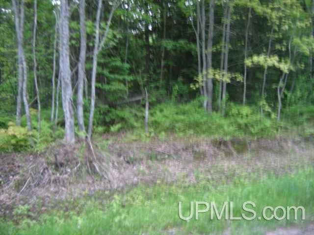 Tbd Post Road, Unit PARCEL 5 Lake Linden, MI 49945 - Photo 5 of 6 Gallery Image 5