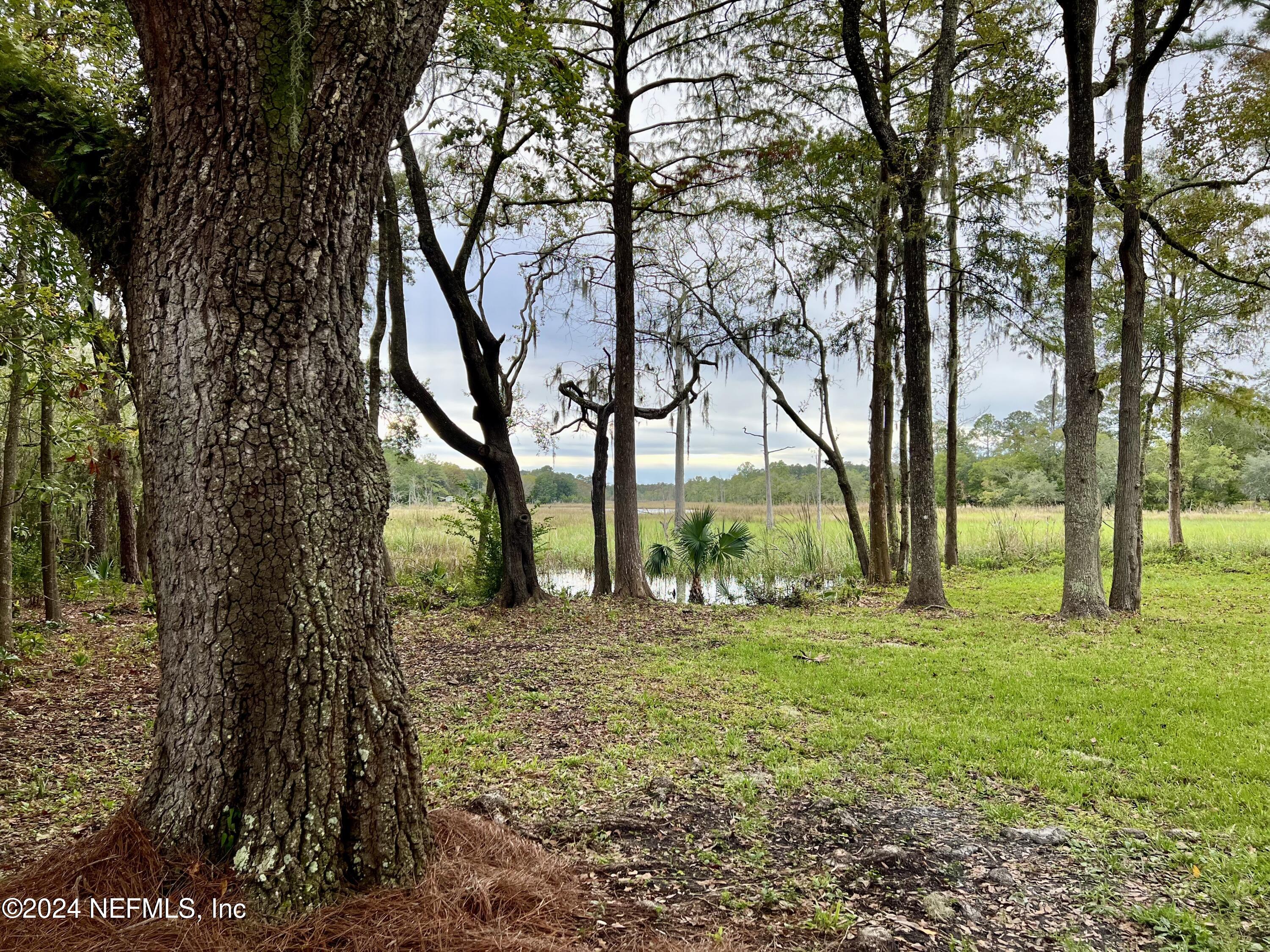 9672 Sibbald Road Jacksonville, FL 32208 - Photo 57 of 62 IMG_5525