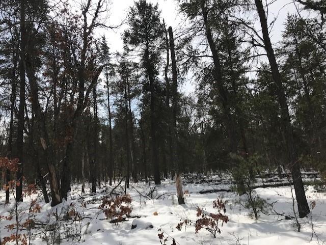 Rustic Lane Grayling, MI 49738 - Photo 4 of 5 Gallery Image 4