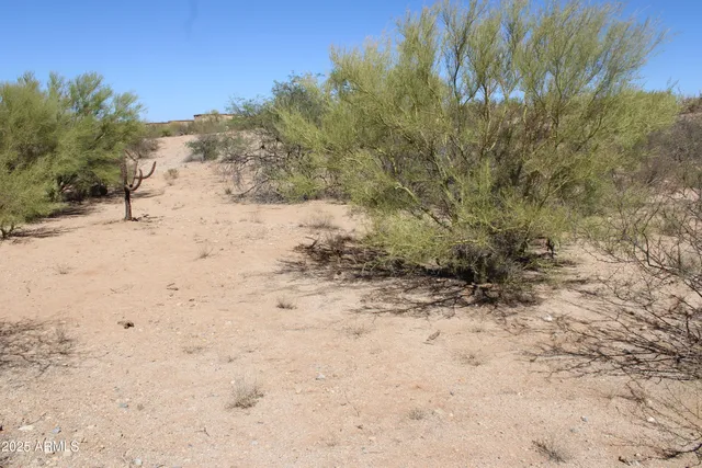 a view of a dry yard covered with snow in the background